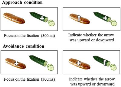 Ambivalent Food Craving and Psychobiological Characteristics in Individuals With Weight Suppression